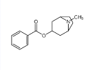 妥帕可卡因-CAS:537-26-8