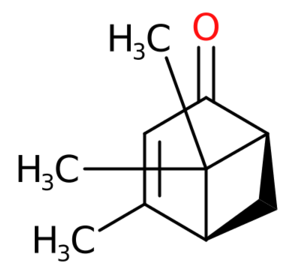 马鞭草烯醇-CAS:1196-01-6