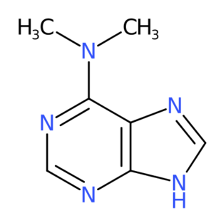 N,N-二甲基-7H-嘌呤-6-胺-CAS:938-55-6