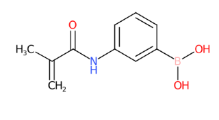 3-甲基丙烯酰胺基苯硼酸-CAS:48150-45-4