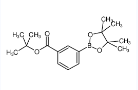 叔丁基-3-(4,4,5,5-四甲基-1,3,2-二氧硼杂环戊烷-2-基)苯甲酸甲酯-CAS:903895-48-7