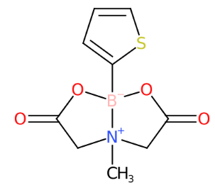 2-噻吩硼酸甲基亚氨基二乙酸酯-CAS:1158984-92-9