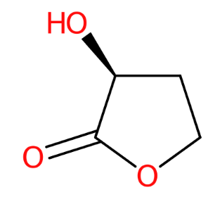 (S)-3-羟基二氢呋喃-2(3H)-酮-CAS:52079-23-9