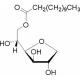 司班20-CAS:1338-39-2