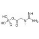 磷酸肌酸-CAS:67-07-2