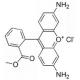 罗丹明123-CAS:62669-70-9