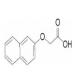 2-萘氧乙酸-CAS:120-23-0