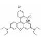罗丹明B-CAS:81-88-9