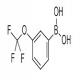 3-(三氟甲氧基)苯硼酸-CAS:179113-90-7