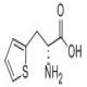 3-(2-噻吩基)-D-丙氨酸-CAS:62561-76-6