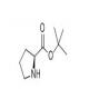 H-PRO-OTBU-CAS:2812-46-6