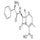 头孢拉定-CAS:38821-53-3