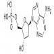 2'-脱氧腺苷-5'-单磷酸-CAS:653-63-4