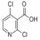 2,4-二氯烟酸-CAS:262423-77-8