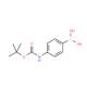 4-(N-BOC-氨基)苯硼酸-CAS:380430-49-9
