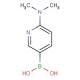 2-(二甲基氨基)吡啶-5-硼酸一水合物-CAS:579525-46-5