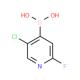2-氟-5-氯吡啶-4-硼酸-CAS:1034659-38-5
