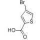 4-溴-2-噻吩羧酸-CAS:16694-18-1