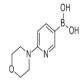 6-(4-吗啉基)-3-吡啶硼酸-CAS:904326-93-8