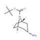 N-Boc-内-3-氨基托烷-CAS:207405-68-3