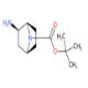 (1R,2R,4S)-rel-2-AMino-7-Boc-7-Azabicyclo[2.2.1]heptane-CAS:1000870-15-4