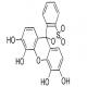 邻苯三酚红-CAS:32638-88-3