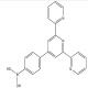 (4-([2,2':6',2''-三联吡啶-4'-基)苯基)硼酸-CAS:381218-96-8