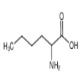 2-氨基己酸-CAS:616-06-8