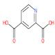 吡啶-2,4-二羧酸-CAS:499-80-9