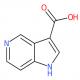 5-氮杂吲哚-3-甲酸-CAS:119248-43-0