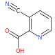 3-氰基吡啶-2-甲酸-CAS:53940-10-6