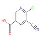 6-氯-5-氰基烟酸-CAS:1206969-20-1