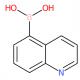 喹啉-5-硼酸-CAS:355386-94-6