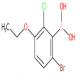 6-溴-2-氯-3-乙氧基苯基硼酸（含有数量不等的酸酐）-CAS:957121-15-2