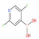 2,5-二氟吡啶-4-硼酸-CAS:1263375-23-0