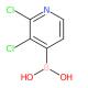 2,3-二氯吡啶-4-硼酸-CAS:951677-39-7