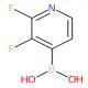 2,3-二氟吡啶-4-基硼酸-CAS:1263374-42-0