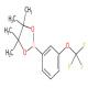 4,4,5,5-四甲基-2-[3-(三氟甲氧基)苯基]-1,3,2-二氧杂环戊硼烷-CAS:262376-31-8