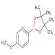 5-甲氧基-2-(4,4,5,5-四甲基-1,3,2-二氧硼杂环戊烷-2-基)吡啶-CAS:1309601-77-1