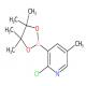 -氯-5-甲基-3-(4,4,5,5-四甲基-1,3,2-二氧硼杂环戊烷-2-基)吡啶-CAS:1309982-62-4