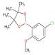 2-(5-氯-2-甲氧基苯基)-4,4,5,5-四甲基-1,3,2-二氧硼杂环戊烷-CAS:635305-45-2