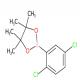 2-(2,5-二氯苯基)-4,4,5,5-四甲基-1,3,2-二氧硼烷-CAS:479411-91-1