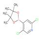 2,5-二氯-4-(4,4,5,5-四甲基-1,3,2-二氧硼杂环戊烷-2-基)吡啶-CAS:1073353-98-6