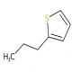 2-丙基噻吩-CAS:1551-27-5