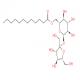 蔗糖十二烷酸酯-CAS:25339-99-5