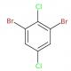 1，3-二溴-2，5-二氯苯-CAS:81067-41-6