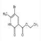 5-溴-2-羟基-6-甲基烟酸乙酯-CAS:1269025-45-7