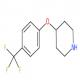 4-(4-(三氟甲基)苯氧基)哌啶-CAS:28033-37-6