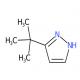 3-叔丁基吡唑-CAS:15802-80-9