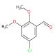 5-氯-2,3-二甲氧基苯甲醛-CAS:86232-28-2